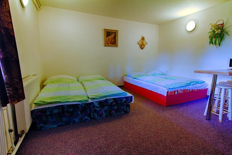 Pension Ivanka Jestrabi V Krkonosich Exterior foto
